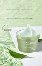 Green Tea Ice Mud Mask